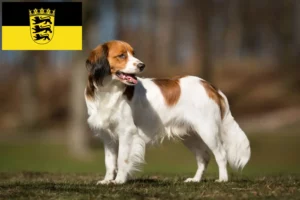 Read more about the article Crescători de Kooikerhondje olandezi și căței în Baden-Württemberg