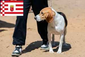 Read more about the article Swiss Lowland Dog Breeder și cățeluși în Bremen